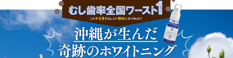 ��p�����g�D�[�X�z���C�g�j���O���T�C�g